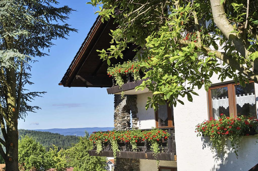 Ferienhaus Fidelis Bodenmais Exterior foto